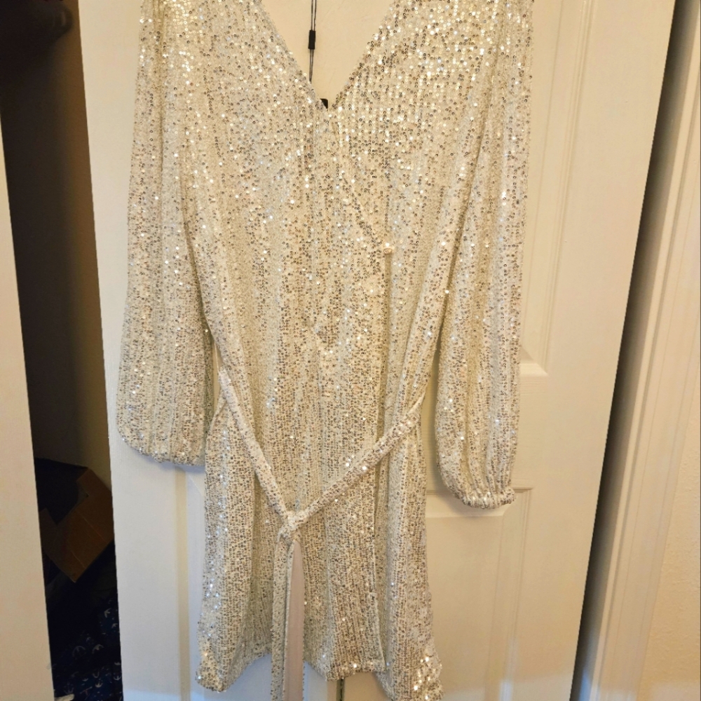 Sequin Dress with Tie Waist